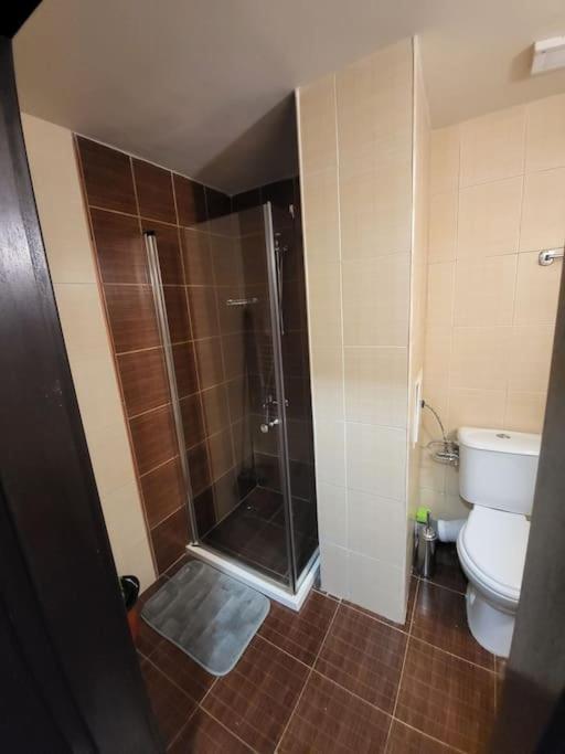 Bansko Royal Towers 253公寓 外观 照片